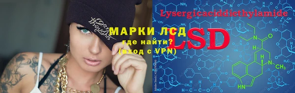 эйфоретик Осинники