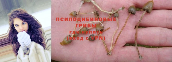 твердый Алзамай