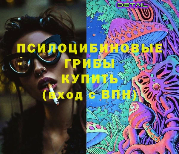 твердый Алзамай