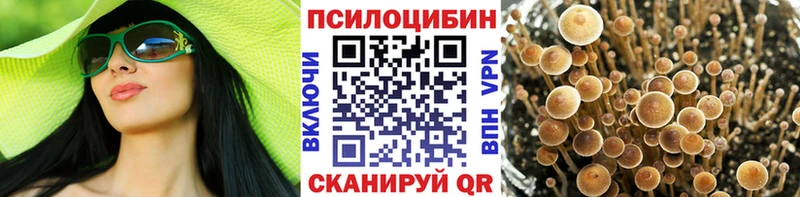 Купить закладки  Волоколамск  Галлюциногенные грибы Psilocybe 